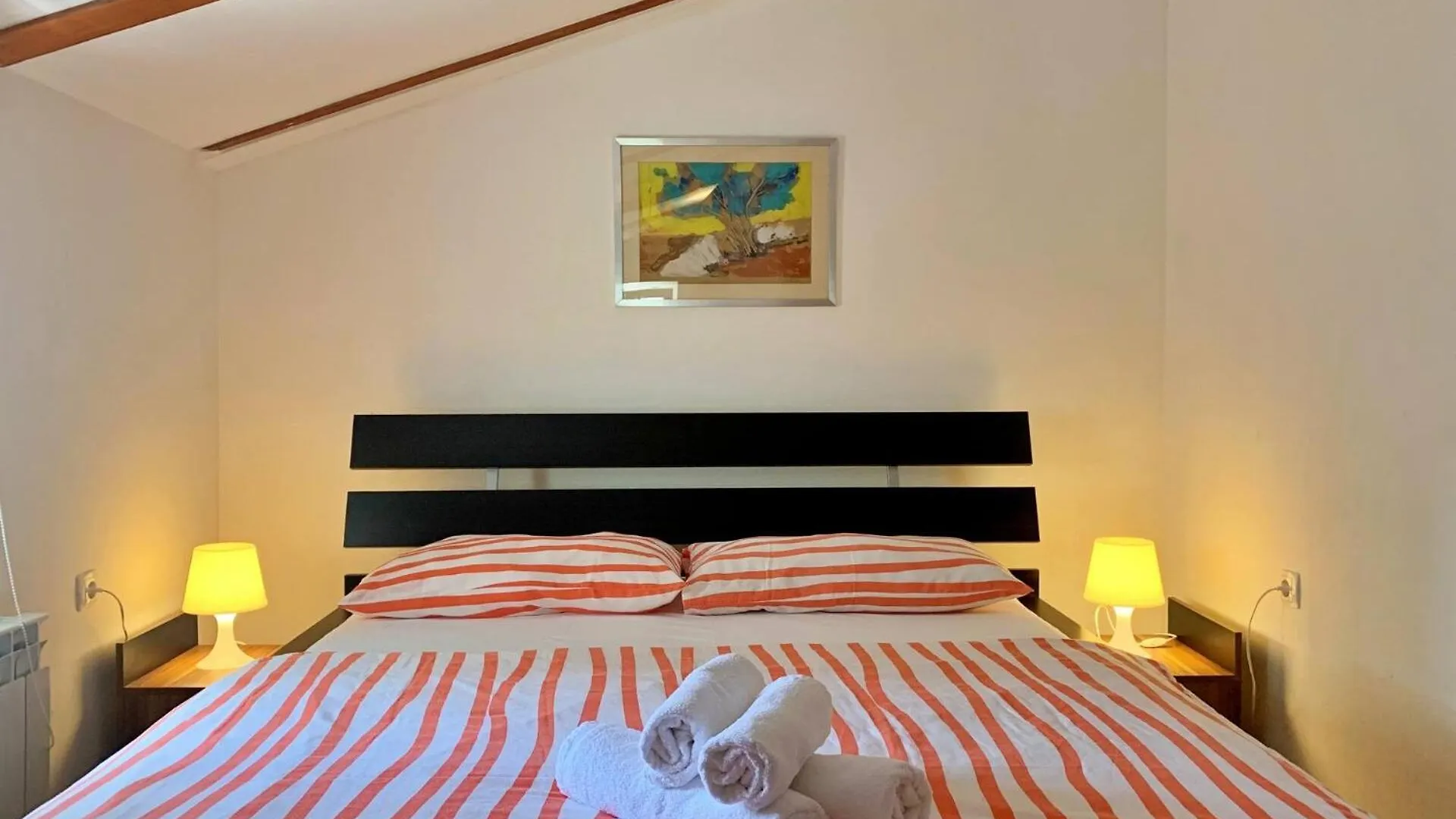 Guest house Apartments Savic Silo