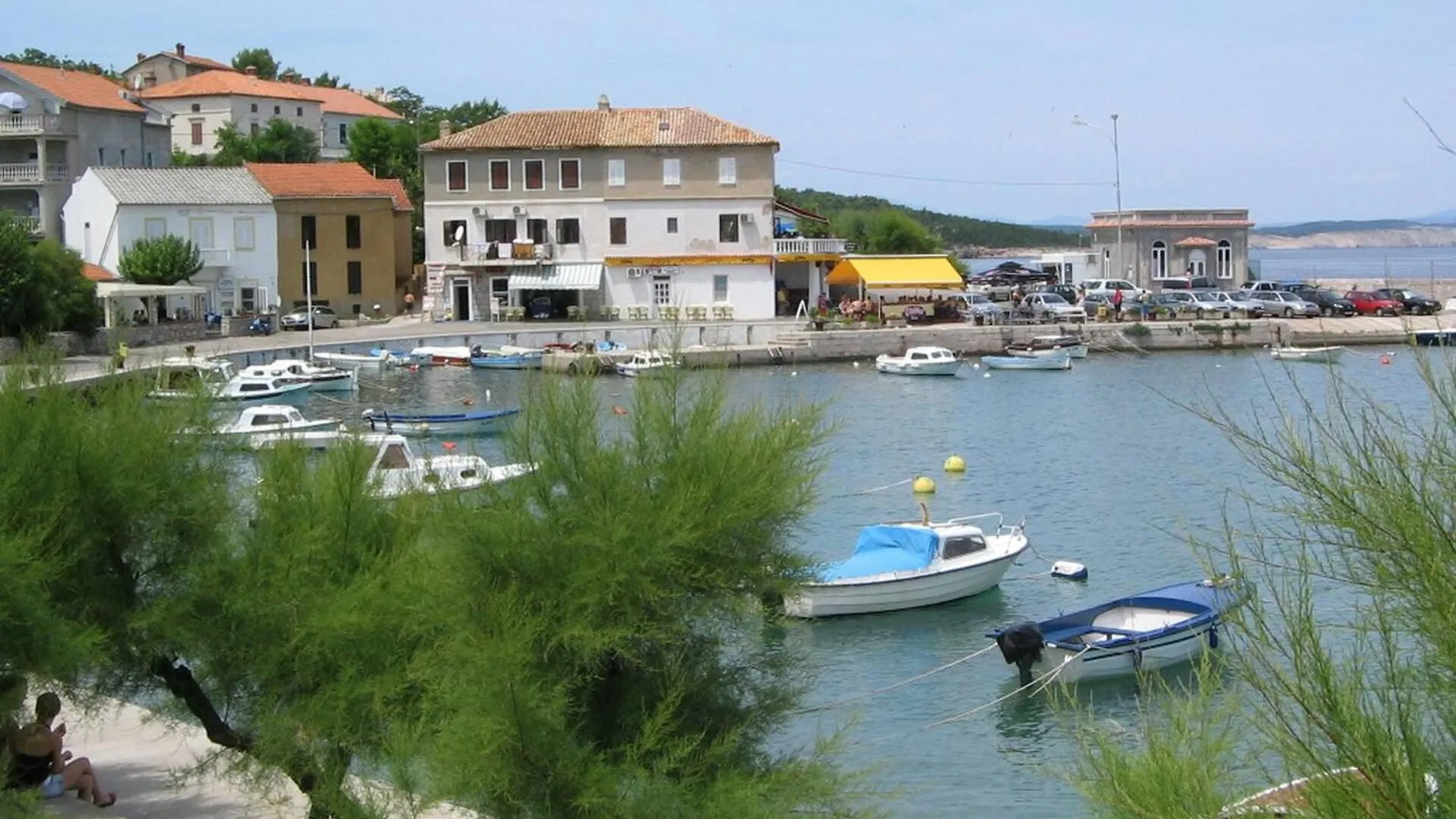 Guest house Apartments Savic Silo