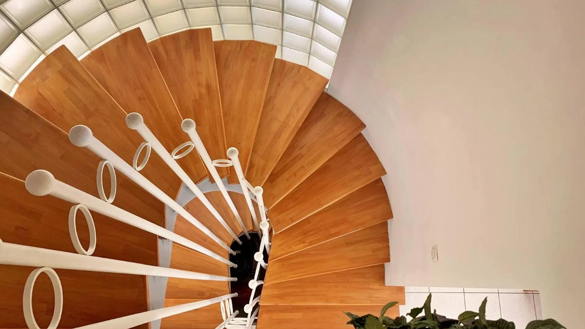 Apartments Savic Silo  Guest house