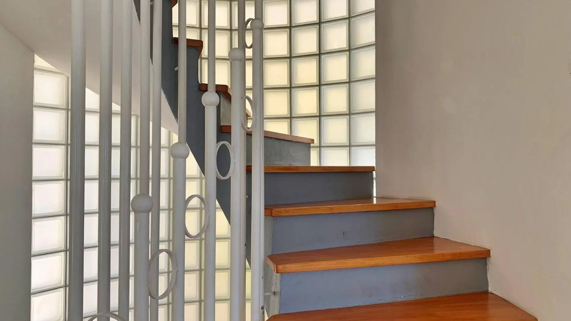 Guest house Apartments Savic Silo