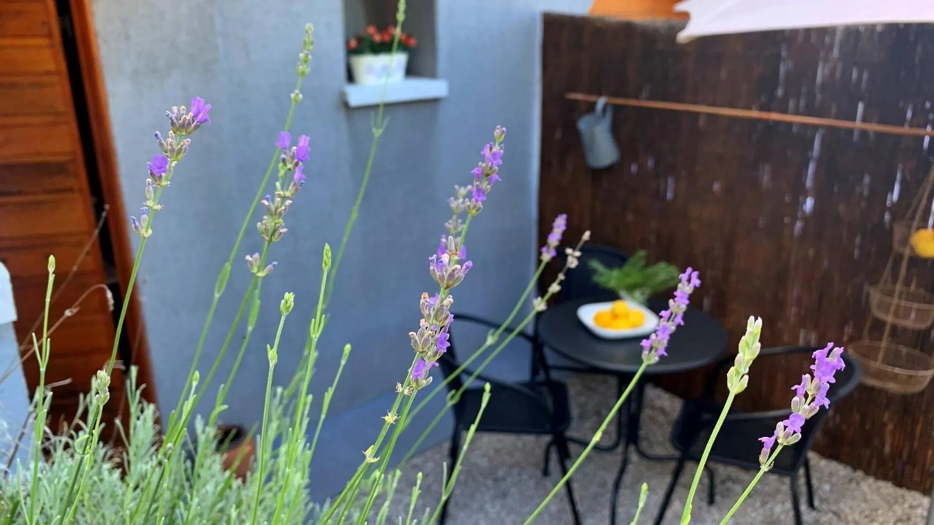 *** Gostinjska kuća Apartments Savic Croatia